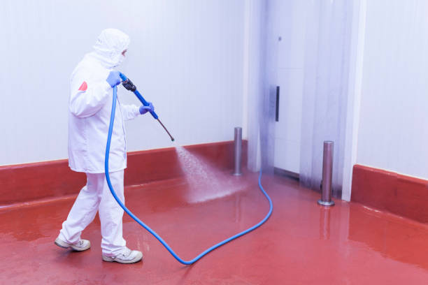 Best Factory Floor Cleaning  in Gwinn, MI